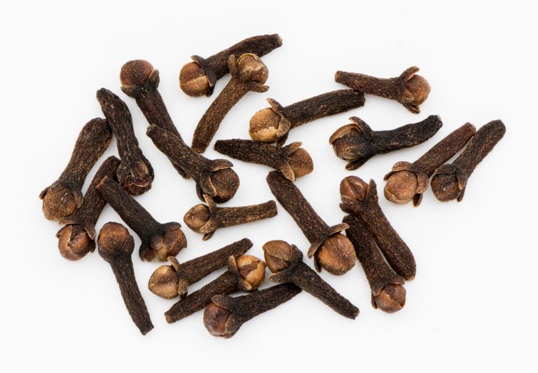 Clove